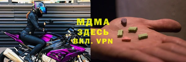 хмурый Алексин
