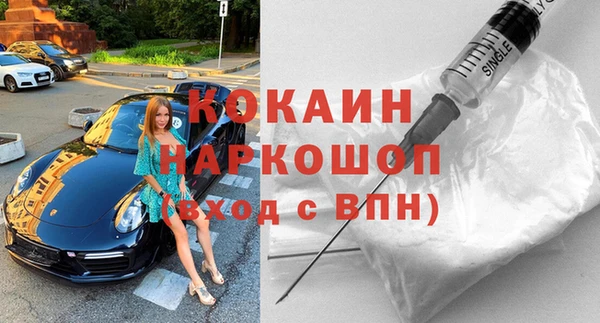 хмурый Алексин